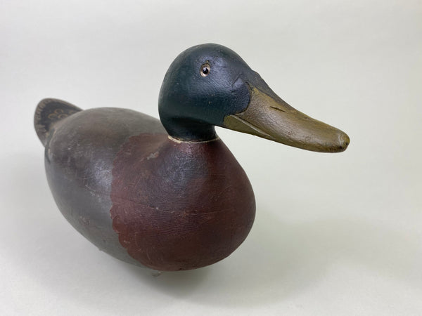 Mason Premier Mallard Drake, Branded (#8684)