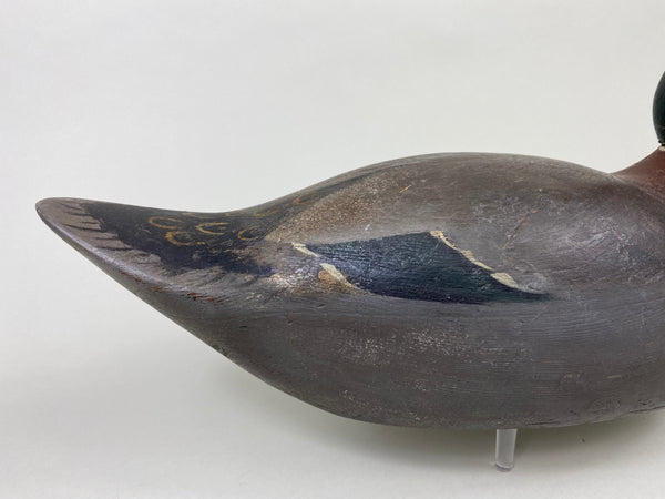 Mason Premier Mallard Drake, Branded (#8684)