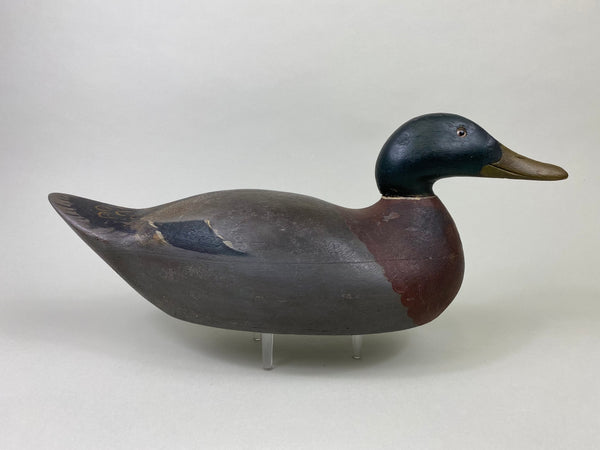 Mason Premier Mallard Drake, Branded (#8684)