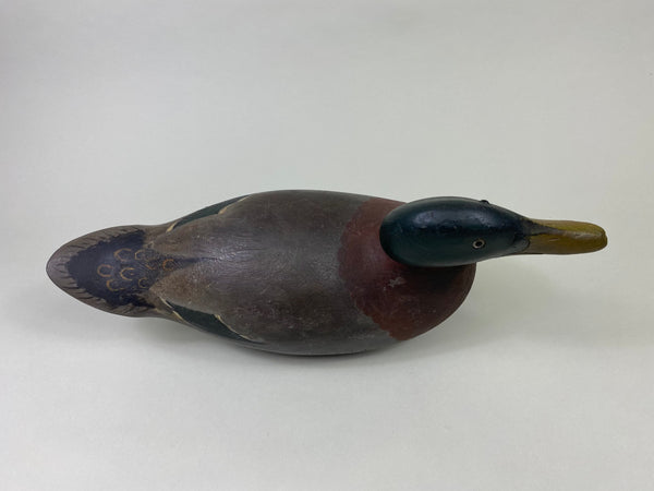 Mason Premier Mallard Drake, Branded (#8684)