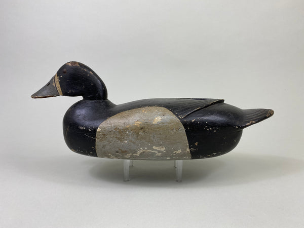 Harry Fenimore Bluebill Hen, Circa 1930's (#8692)