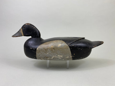 Harry Fenimore Bluebill Hen, Circa 1930's (#8692)