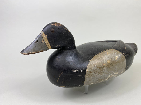 Harry Fenimore Bluebill Hen, Circa 1930's (#8692)