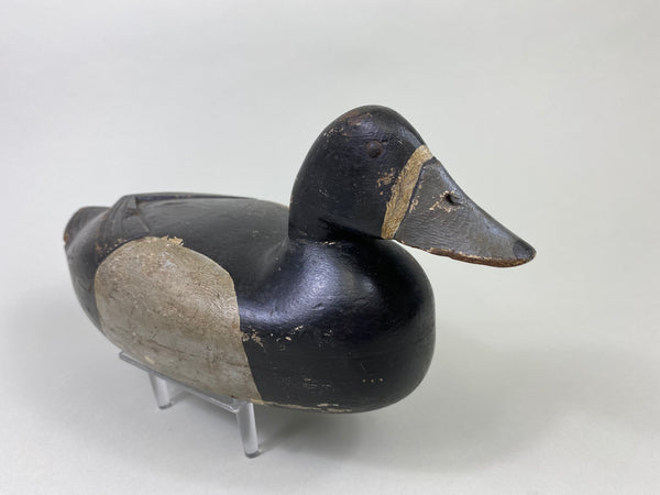 Harry Fenimore Bluebill Hen, Circa 1930's (#8692)