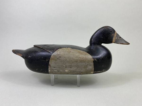 Harry Fenimore Bluebill Hen, Circa 1930's (#8692)