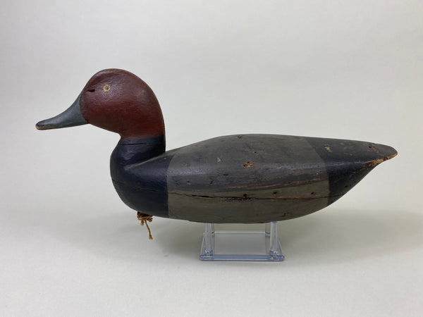 Henry Kilpatrick Redhead Drake (#8693)