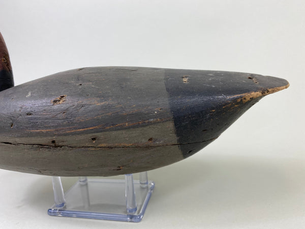 Henry Kilpatrick Redhead Drake (#8693)