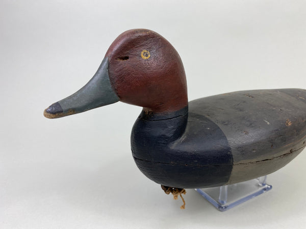 Henry Kilpatrick Redhead Drake (#8693)