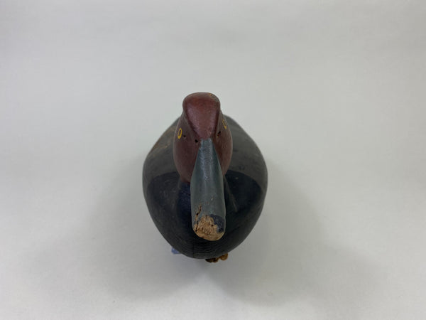 Henry Kilpatrick Redhead Drake (#8693)