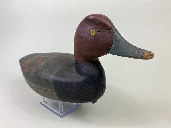 Henry Kilpatrick Redhead Drake (#8693)