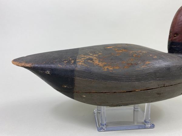 Henry Kilpatrick Redhead Drake (#8693)