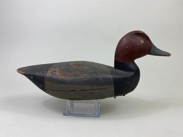 Henry Kilpatrick Redhead Drake (#8693)