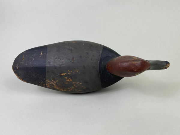 Henry Kilpatrick Redhead Drake (#8693)