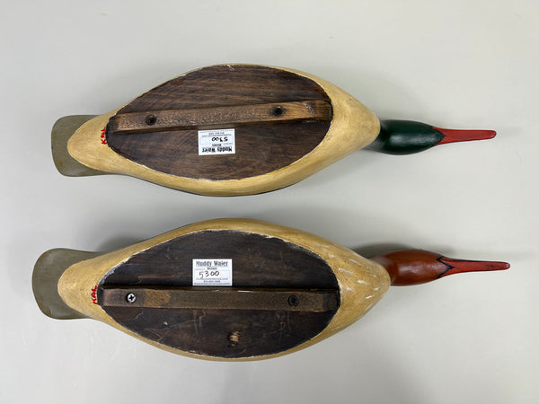 Pair of Swimming Common Mergansers (#5300)