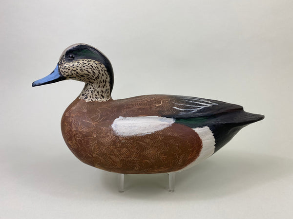 Unknown Wigeon (#8706)