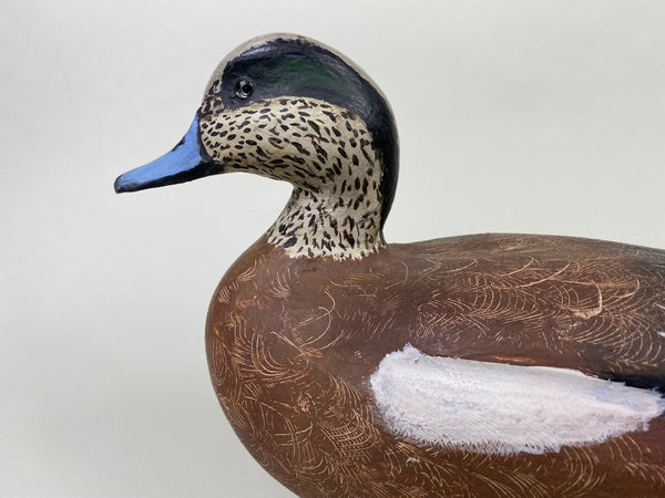 Unknown Wigeon (#8706)