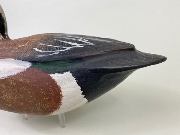 Unknown Wigeon (#8706)