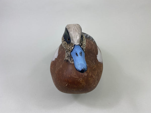 Unknown Wigeon (#8706)