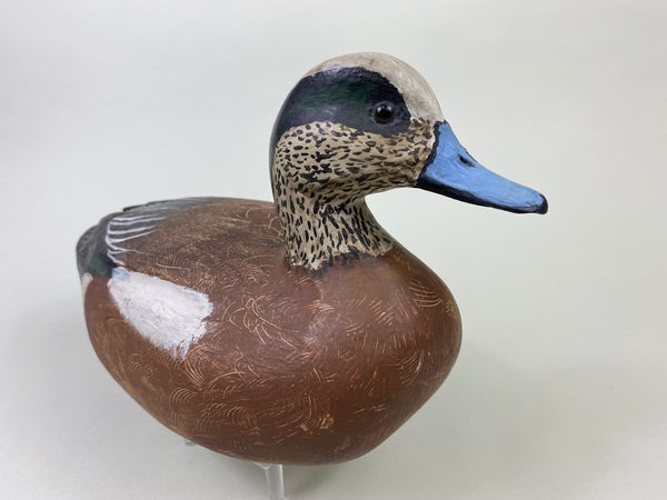 Unknown Wigeon (#8706)