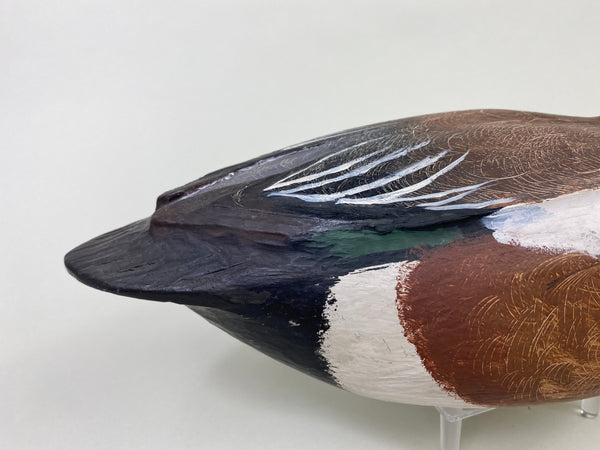 Unknown Wigeon (#8706)