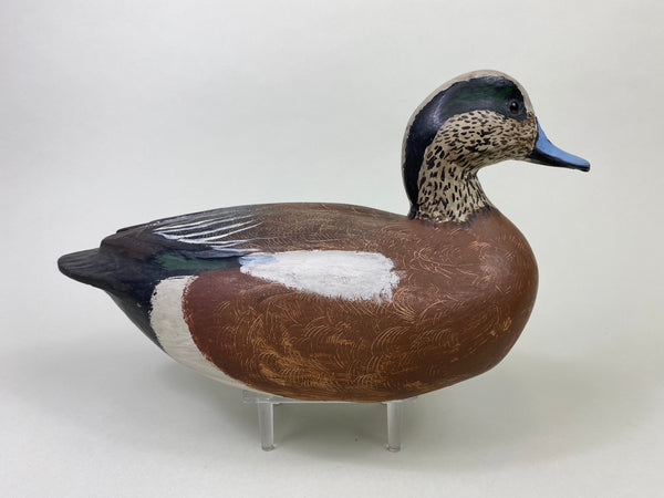 Unknown Wigeon (#8706)