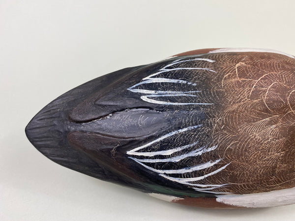 Unknown Wigeon (#8706)