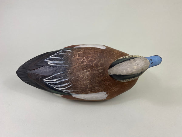 Unknown Wigeon (#8706)