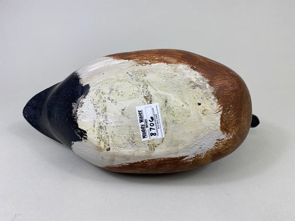 Unknown Wigeon (#8706)