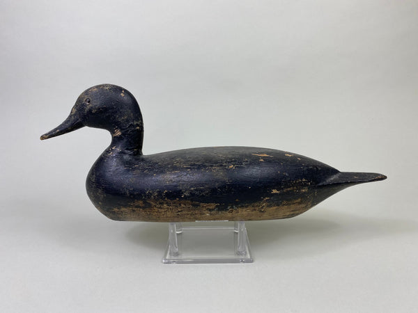 Robert Elliston Pintail Repainted Black #8711)