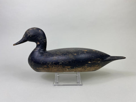 Robert Elliston Pintail Repainted Black #8711)