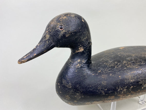 Robert Elliston Pintail Repainted Black #8711)