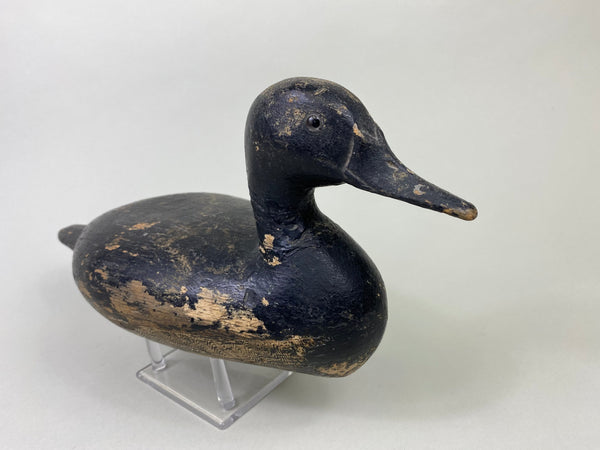 Robert Elliston Pintail Repainted Black #8711)