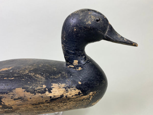 Robert Elliston Pintail Repainted Black #8711)