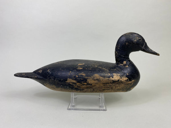 Robert Elliston Pintail Repainted Black #8711)