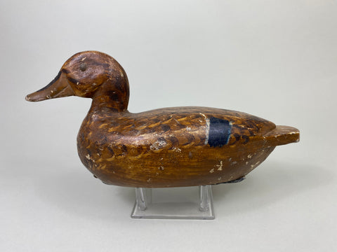 Charles Westerveldt Mallard Hen (#8729)
