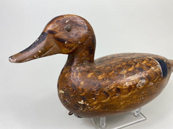 Charles Westerveldt Mallard Hen (#8729)
