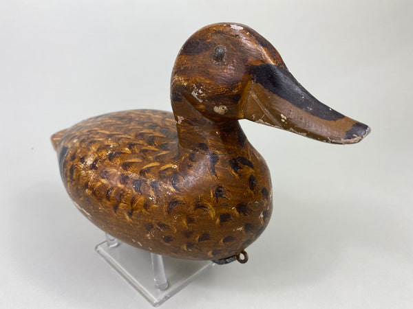 Charles Westerveldt Mallard Hen (#8729)