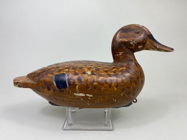 Charles Westerveldt Mallard Hen (#8729)