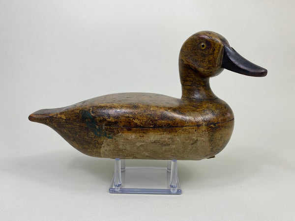 Wendell Smith Green-Wing Teal Hen (#8730)