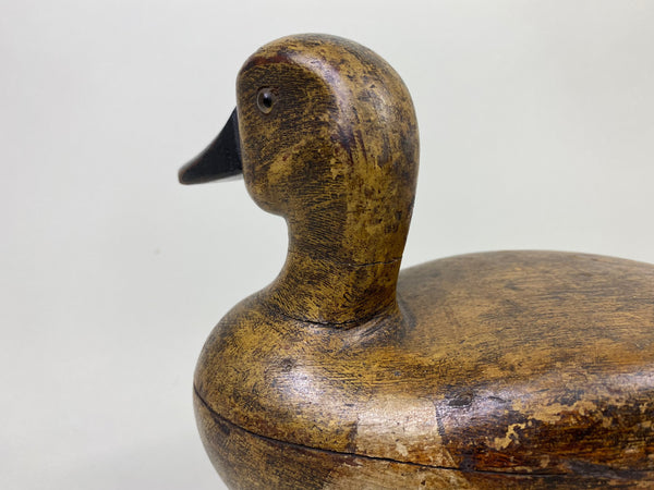 Wendell Smith Green-Wing Teal Hen (#8730)