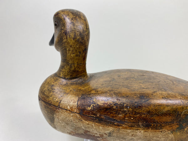 Wendell Smith Green-Wing Teal Hen (#8730)