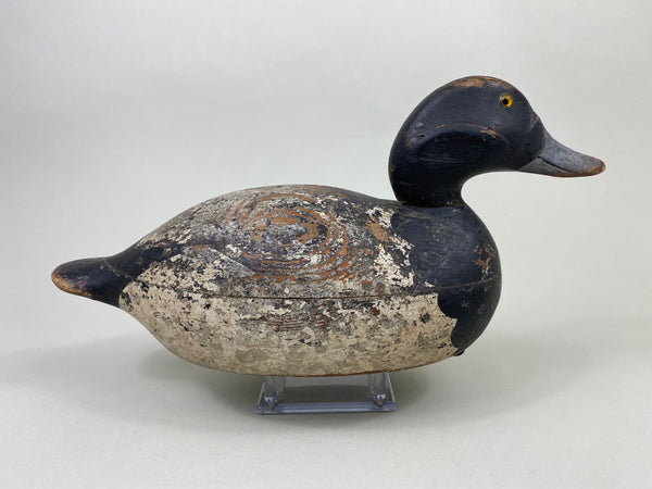 Mason Premier Bluebilll Drake (#8746)