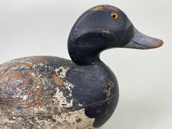 Mason Premier Bluebilll Drake (#8746)