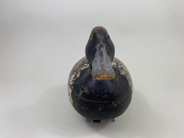 Mason Premier Bluebilll Drake (#8746)