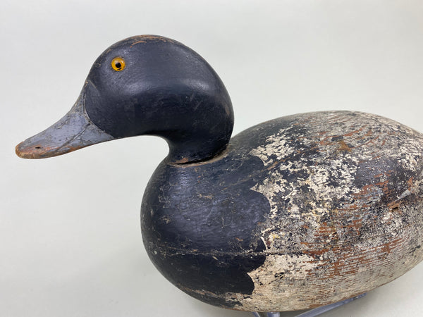 Mason Premier Bluebilll Drake (#8746)