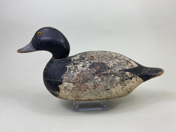 Mason Premier Bluebilll Drake (#8746)