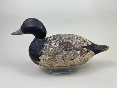 Mason Premier Bluebilll Drake (#8746)