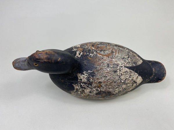 Mason Premier Bluebilll Drake (#8746)