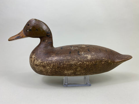 Harry Canfield Mallard Hen, Circa 1930's (#8749)