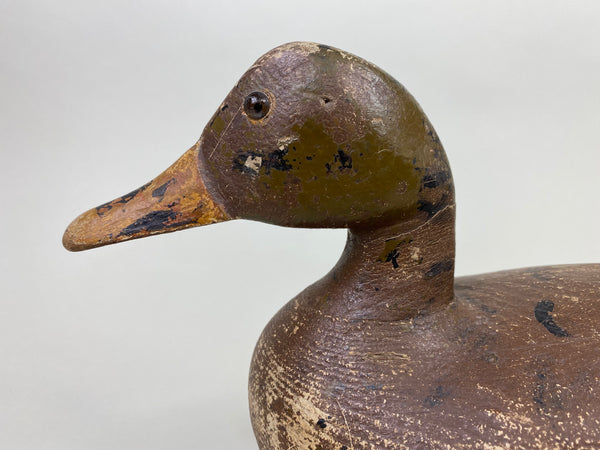 Harry Canfield Mallard Hen, Circa 1930's (#8749)